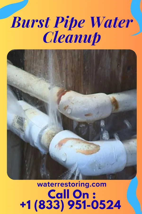 Burst Pipe Water Cleanup in Puckett, MS