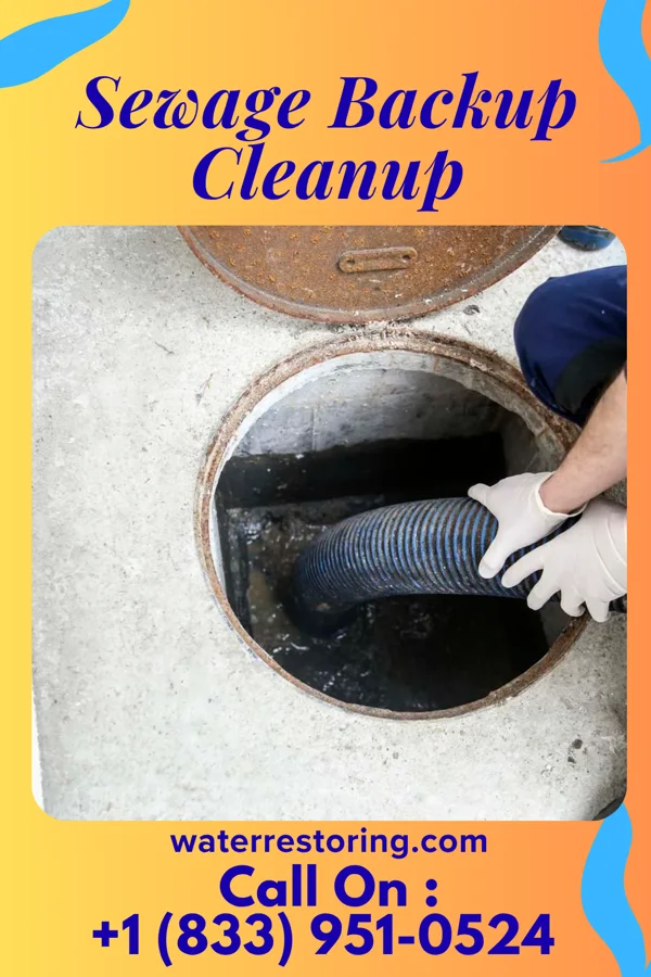 Sewage Backup Cleanup in Puckett, MS